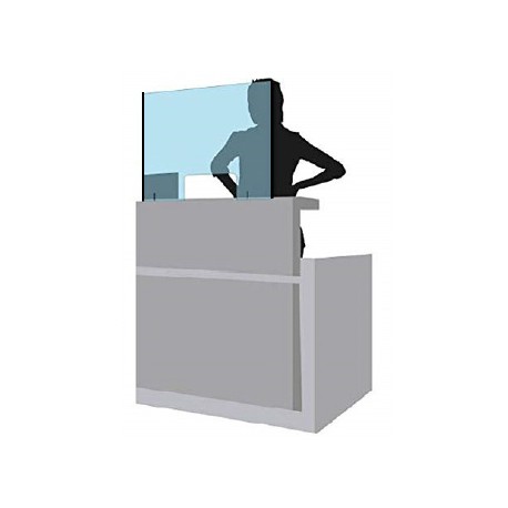 Pantalla de Protección Modelo V1